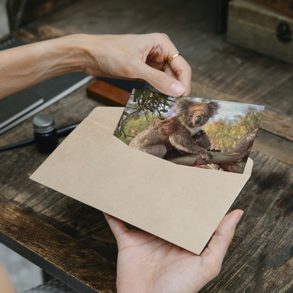 Australian Wildlife Photography Greeting Cards - Picture 1 of 16